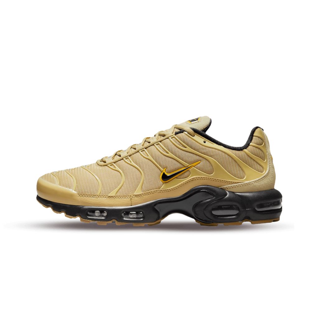 TN-Beige.jpg